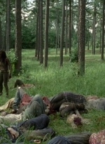 twd0409-2180.jpg