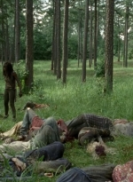 twd0409-2181.jpg