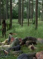 twd0409-2182.jpg