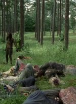 twd0409-2184.jpg