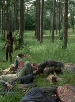 twd0409-2185.jpg