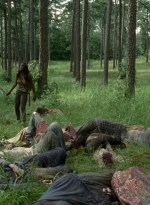 twd0409-2186.jpg