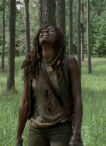 twd0409-2196.jpg