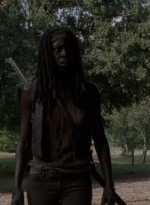 twd0409-2713.jpg