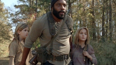 twd0410-0893.jpg