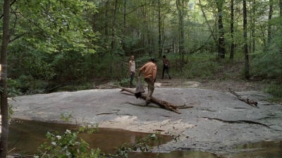twd0410-1159.jpg