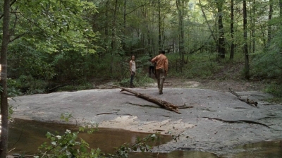 twd0410-1160.jpg