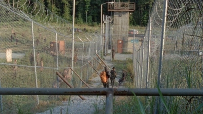 twd0410-1874.jpg