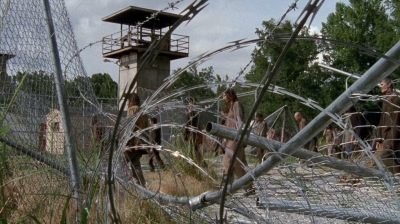 twd0410-1876.jpg