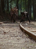 twd0410-0966.jpg