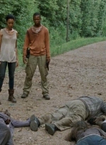 twd0410-1341.jpg