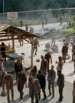 twd0410-1484.jpg