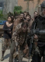 twd0410-1756.jpg