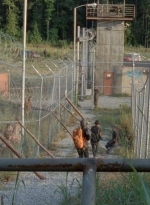 twd0410-1874.jpg