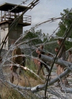 twd0410-1875.jpg