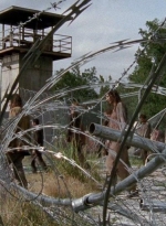 twd0410-1876.jpg