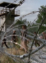 twd0410-1877.jpg