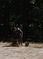 twd0410-2012.jpg