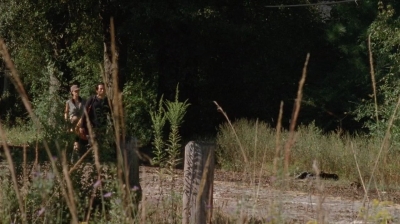 twd0411-1999.jpg