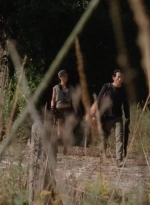 twd0411-2005.jpg