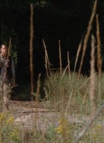 twd0411-2012.jpg