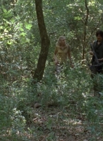 twd0412-1145.jpg