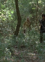 twd0412-1146.jpg