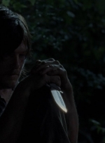 twd0412-2091.jpg