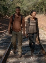 twd0413-1107.jpg