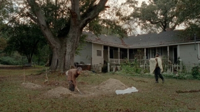 twd0414-1977.jpg