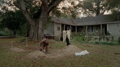 twd0414-1981.jpg