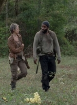 twd0414-1493.jpg