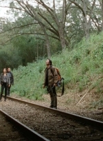 twd0415-0799.jpg