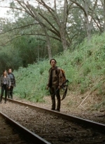 twd0415-0806.jpg