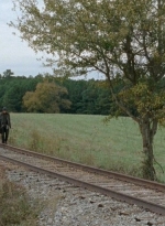 twd0415-2000.jpg