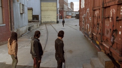 twd0416-1981.jpg