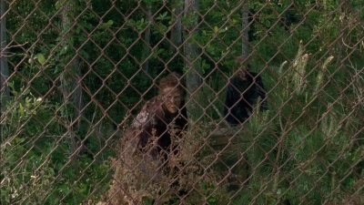 Click to view full size image
==============
twd0501-1300.jpg twd0501-1300.jpg