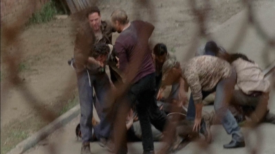 twd0501-1310.jpg