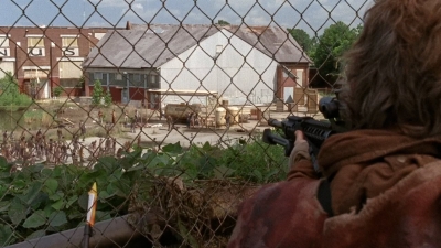 twd0501-1392.jpg