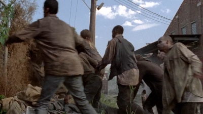 twd0501-2853.jpg