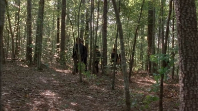 twd0501-2861.jpg