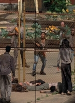 twd0501-1362.jpg