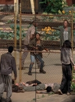 twd0501-1363.jpg