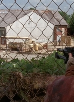 twd0501-1394.jpg