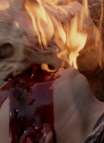 twd0501-1597.jpg