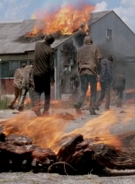 twd0501-1600.jpg