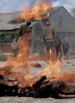 twd0501-1601.jpg