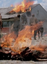twd0501-1602.jpg