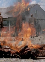 twd0501-1603.jpg