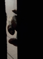 twd0501-1729.jpg